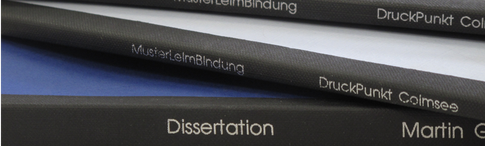 Beispielbild für Wissenschaftliche Arbeiten