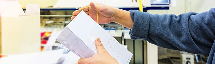 Beispielbild für die Weiterverarbeitung